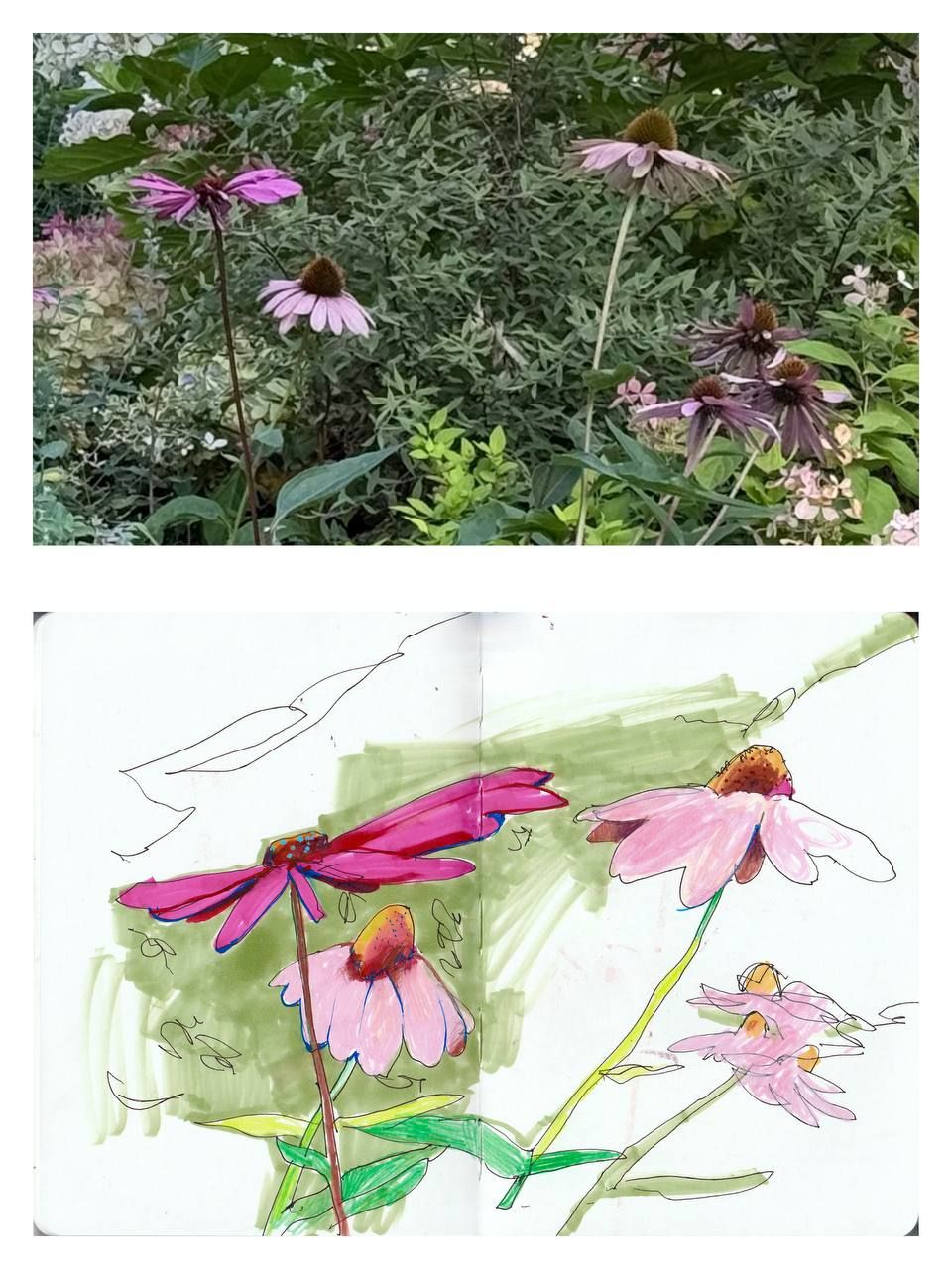 MILOSLAVSKAYA photo 2025 10 07 15.03.59 1cda29ac Художник, преподаватель рисования, пленэры, скетчинг, композиция, art coach