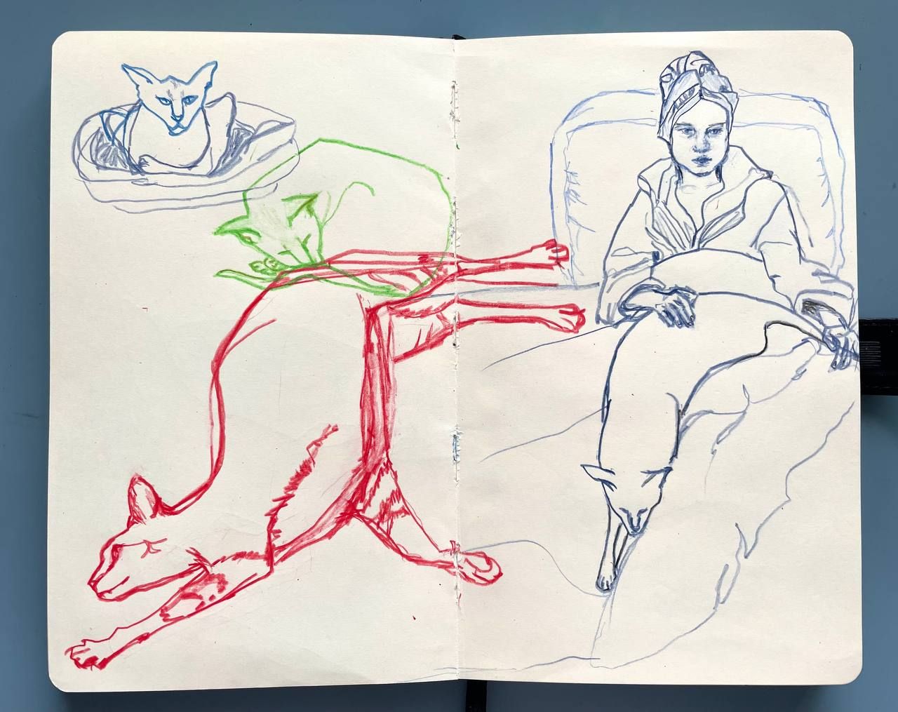 MILOSLAVSKAYA photo 2025 10 07 15.03.43 8da53d67 Художник, преподаватель рисования, пленэры, скетчинг, композиция, art coach