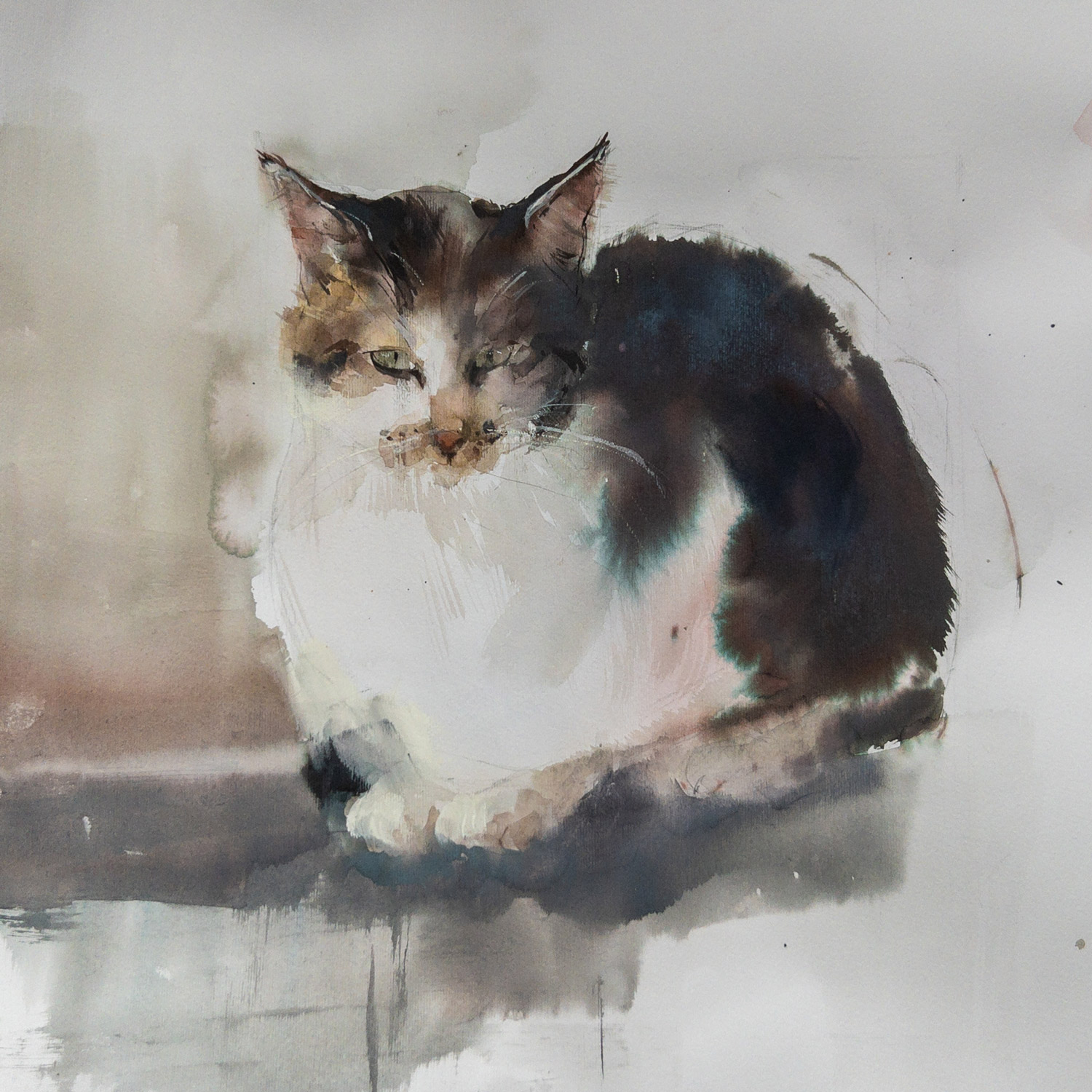Котик акварелью